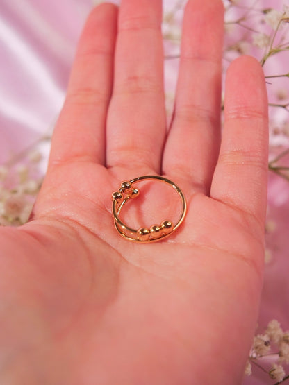 Everyday. Fidget Ring